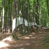 Naturfreundehaus Hanau-Rodenbach Wald